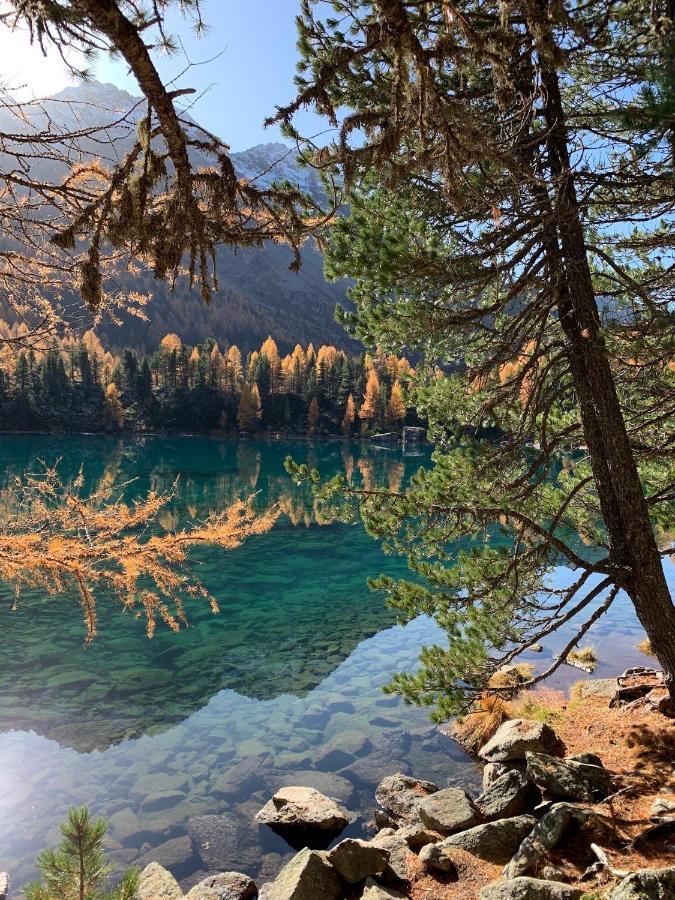 B&B Cuore Verde Poschiavo Luaran gambar