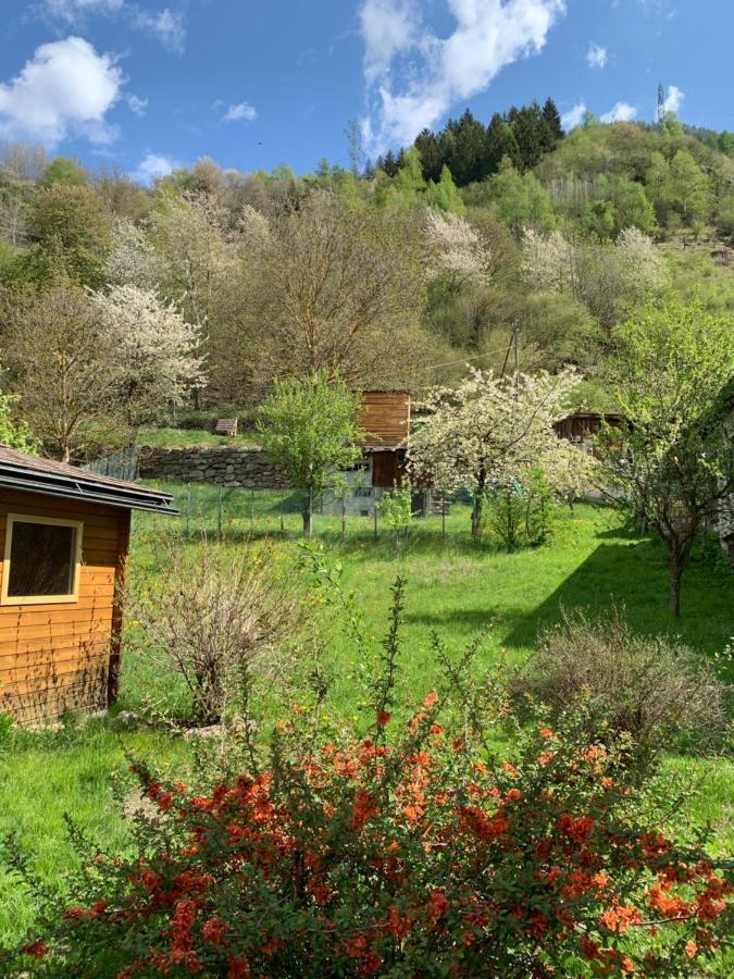 B&B Cuore Verde Poschiavo Luaran gambar